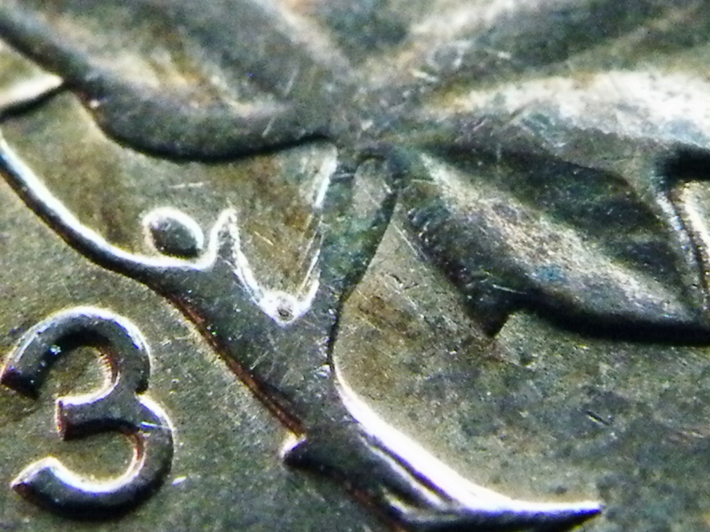 DSCF0563.JPG
