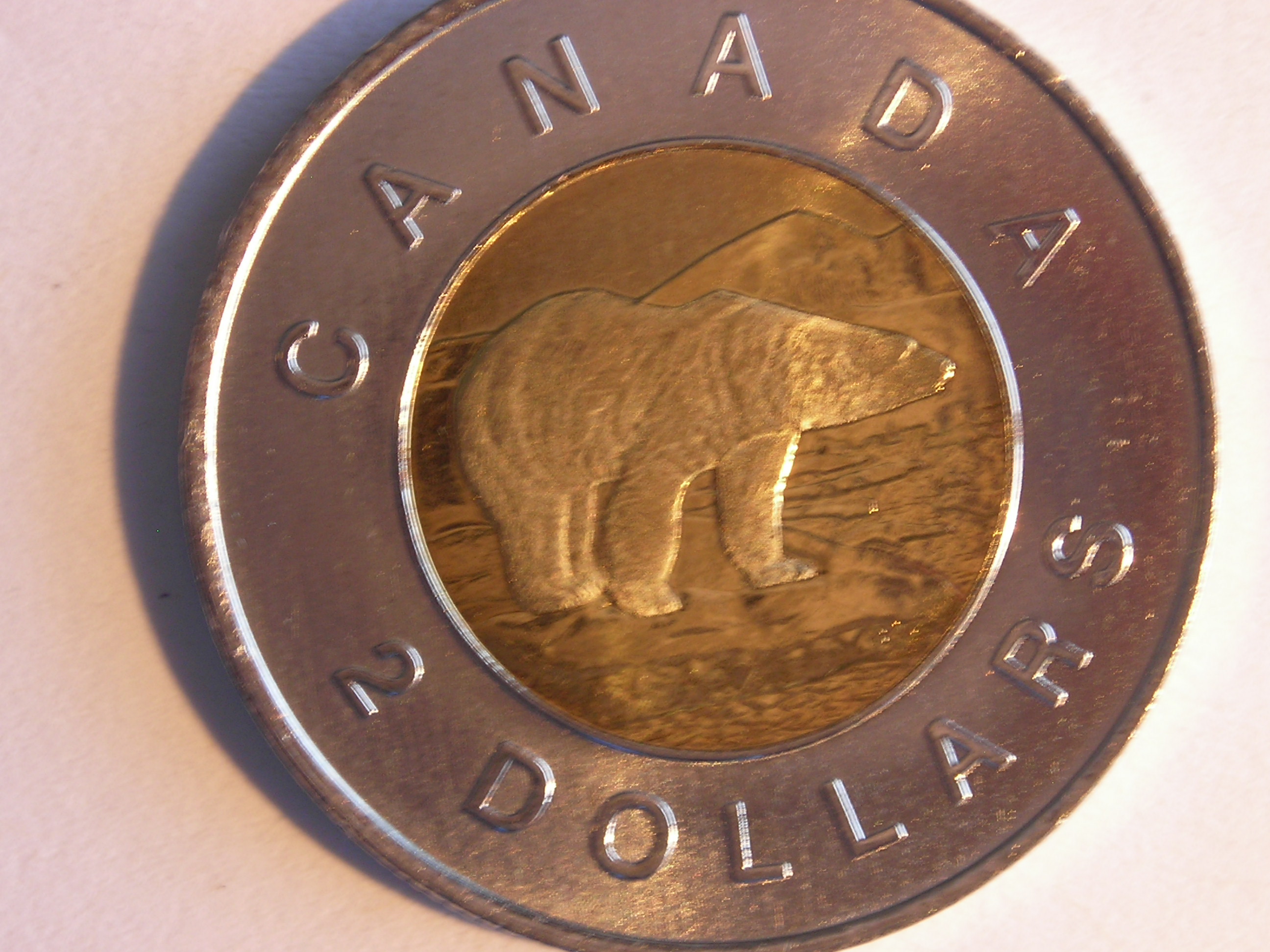 DSCN5256.JPG