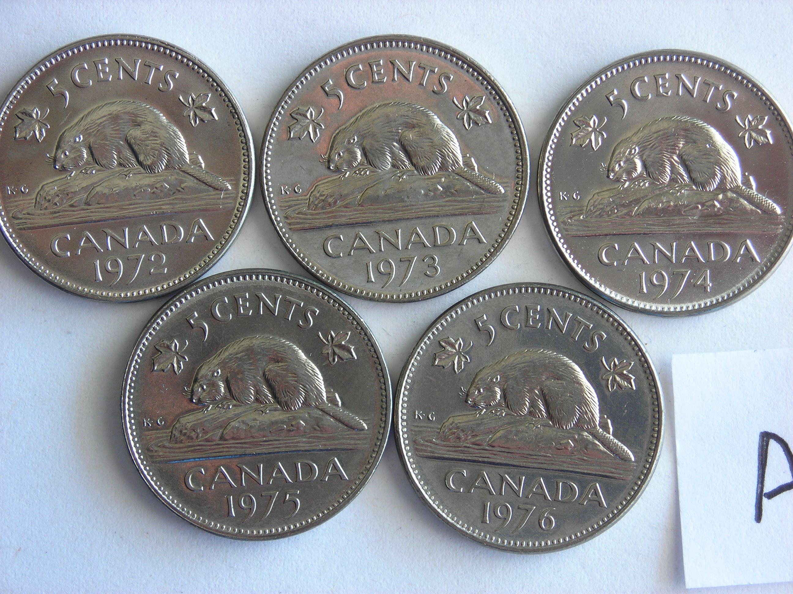 DSCN5483.JPG