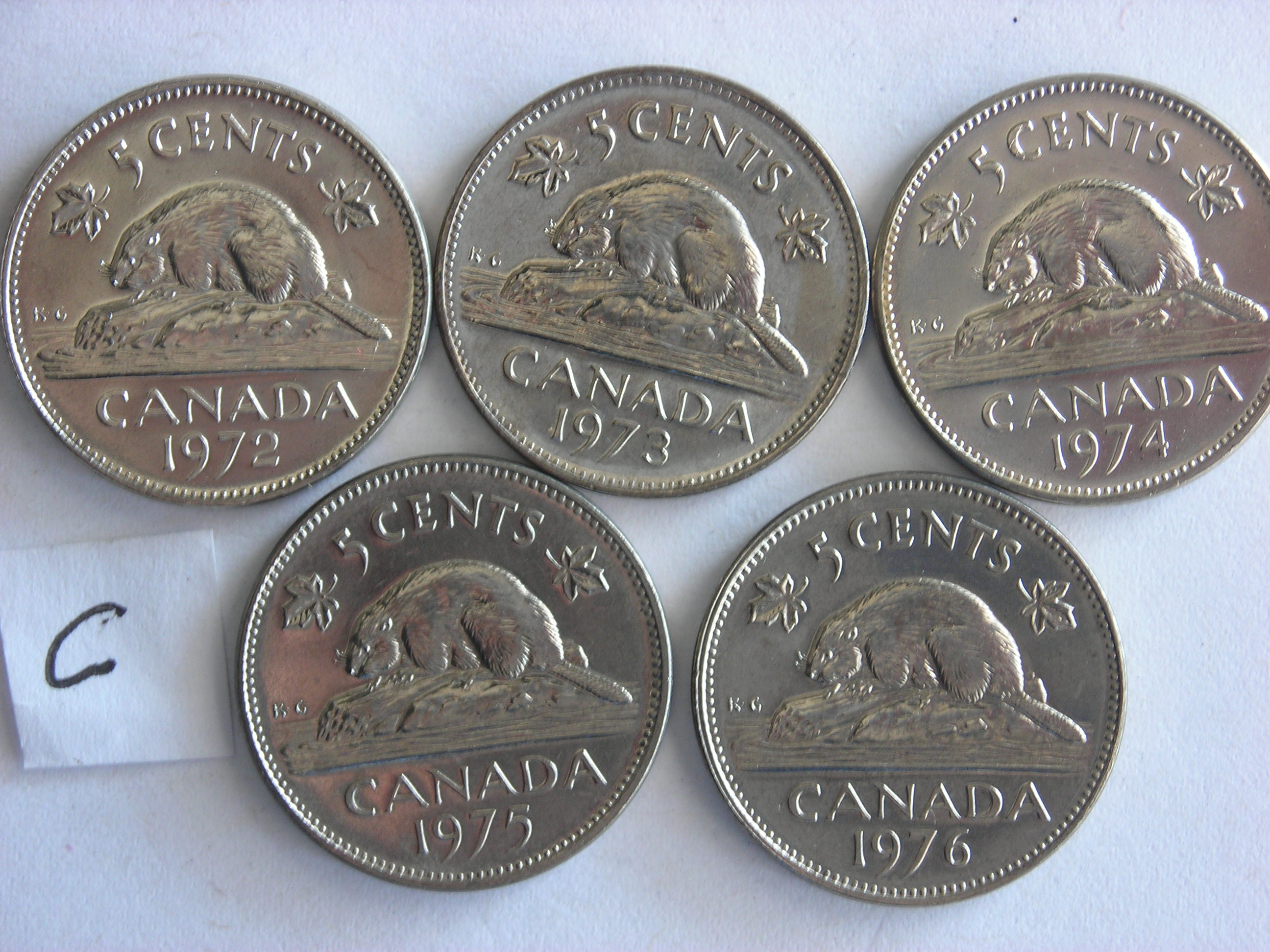 DSCN5487.JPG