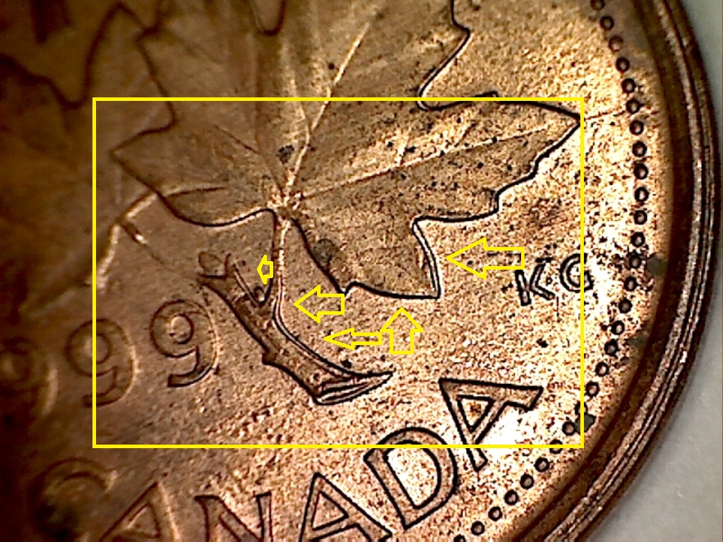 1999 Dbl. 3e  9, tige et feuil. dr. B019066C 3 de 3.jpg