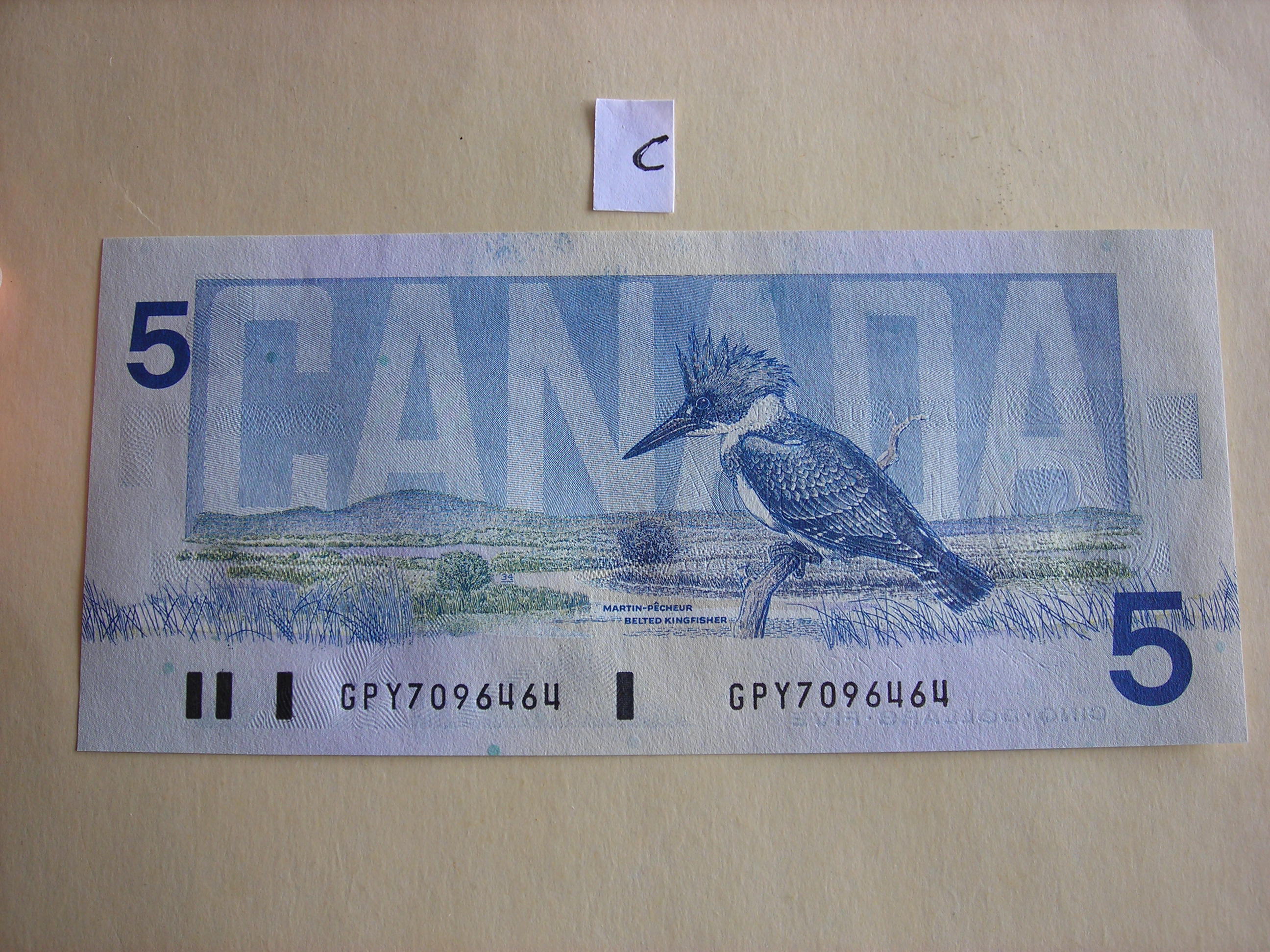 DSCN5604.JPG