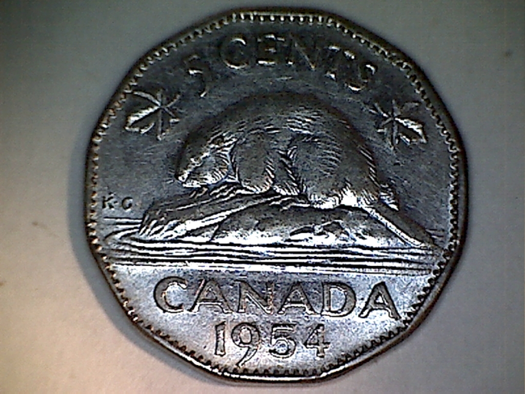 1954 Fendillé sur queue castor B519151D Revers.jpg