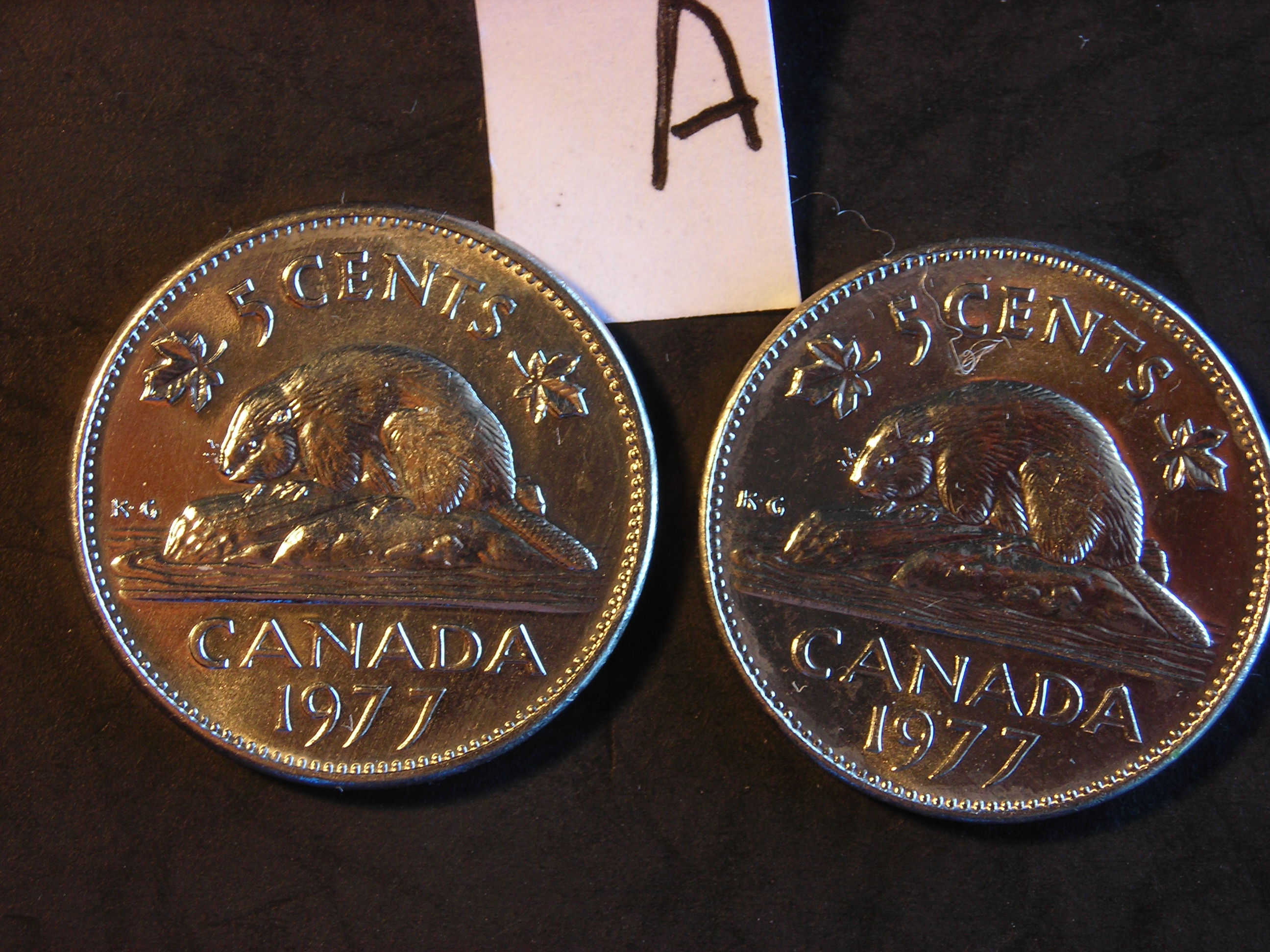 DSCN5712.JPG