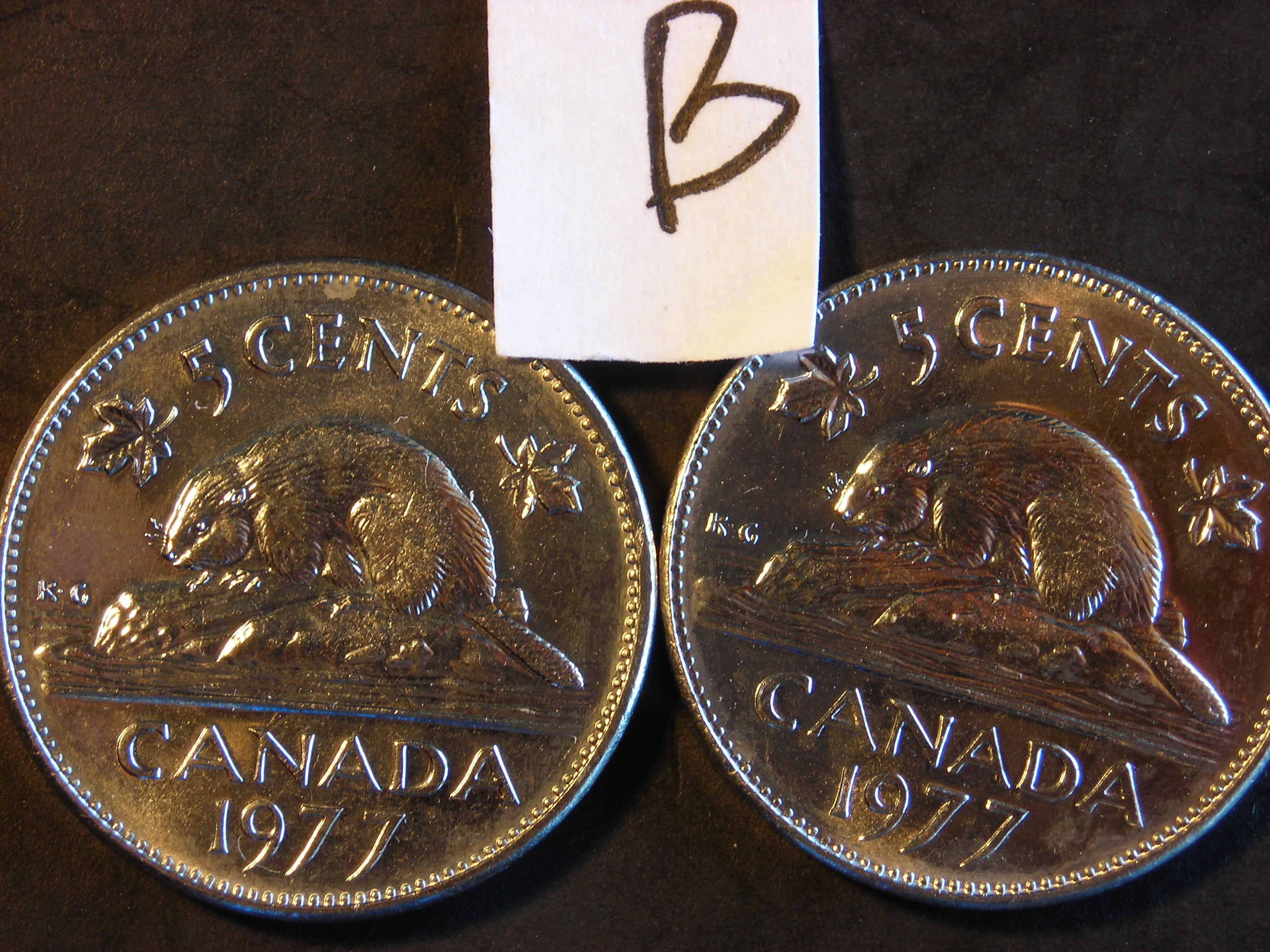 DSCN5714.JPG