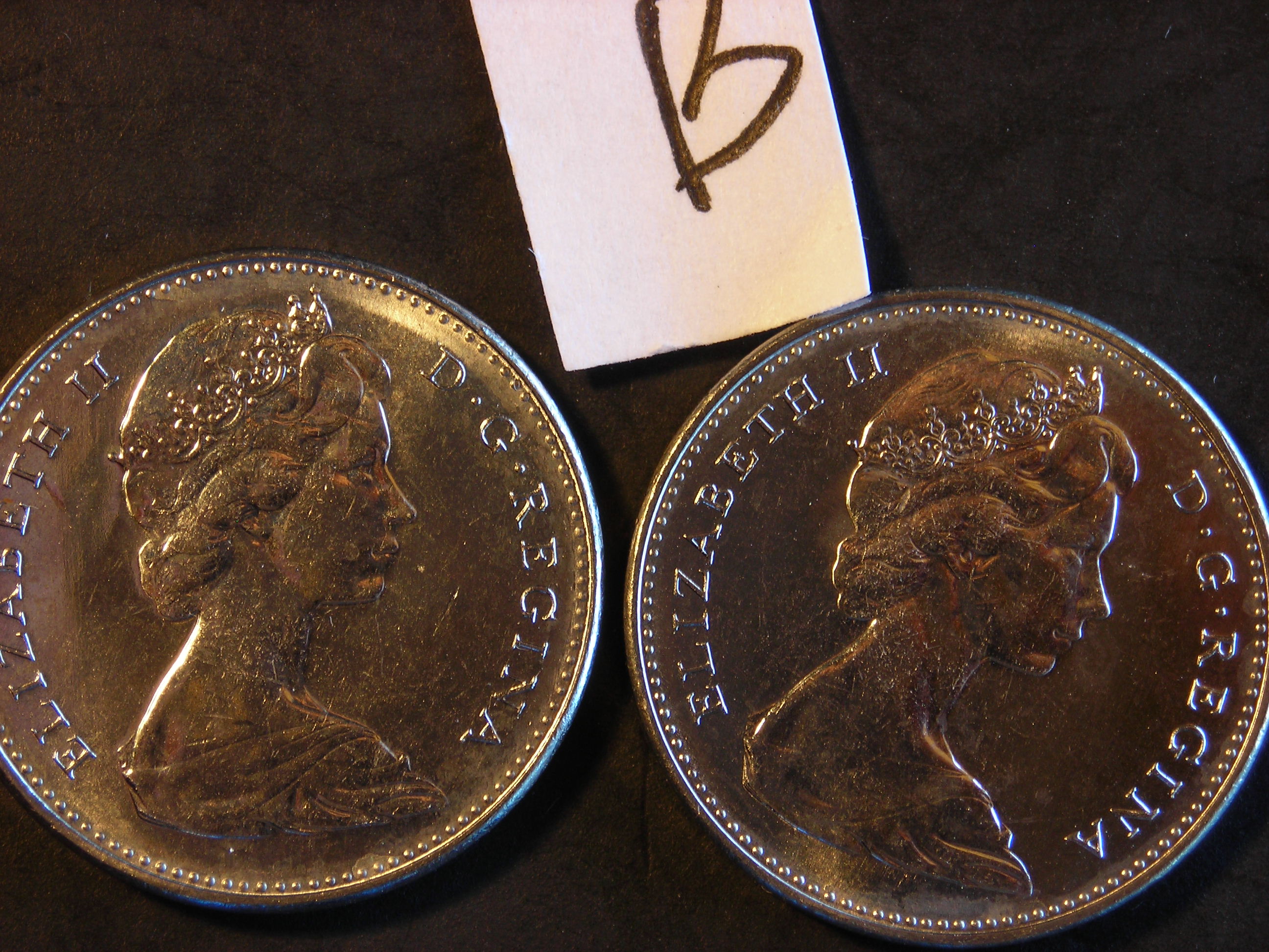 DSCN5715.JPG
