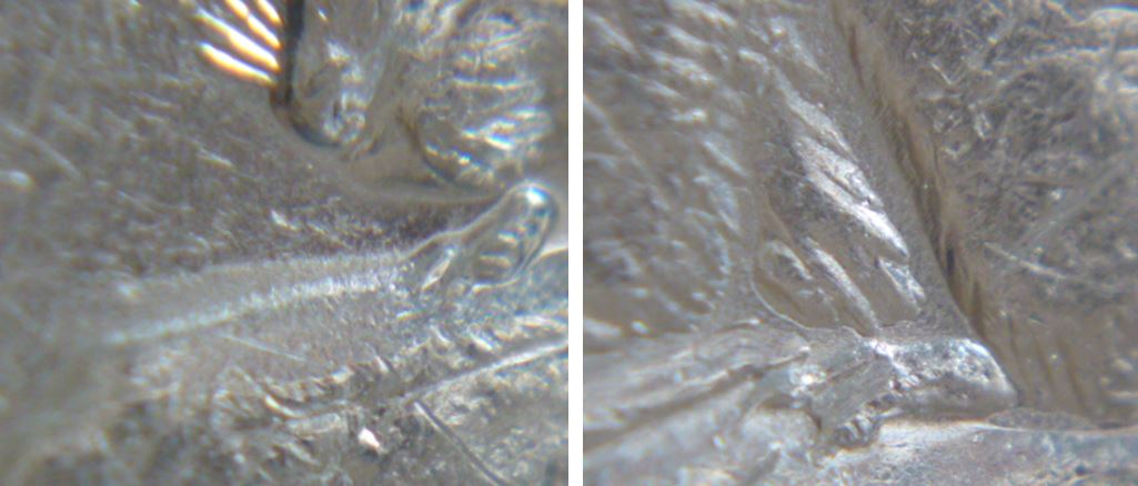 5 Cents 1980-Dépôt de métal sous le castor -entrechoqué sous son menton-3.JPG