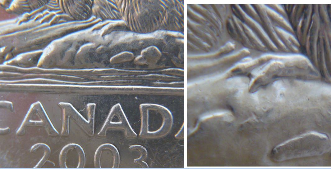 5 cents 2003-Éclat de coin au dessus patte arrière-griffe additionnel.JPG
