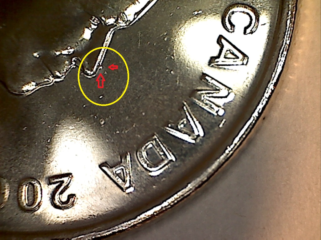 2009 Hockey Féminin Éclat sur le nez B2519119A.jpg