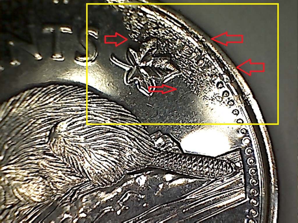 2016 Placage déficient B519170A.jpg