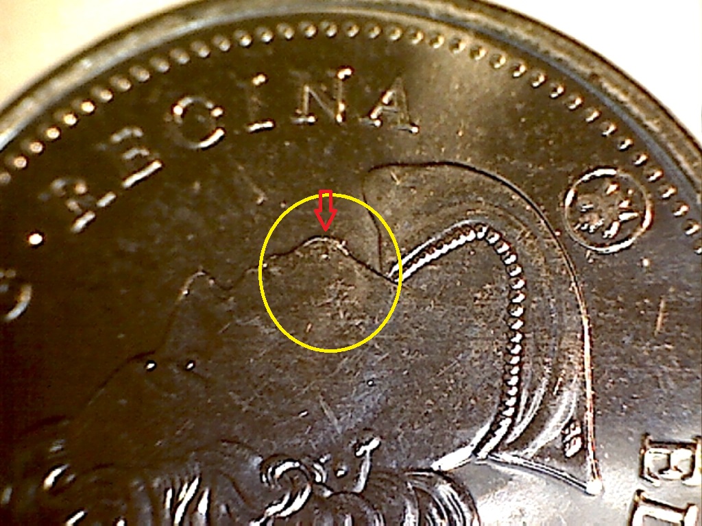 2018 Éclat sur menton B2519125A.jpg