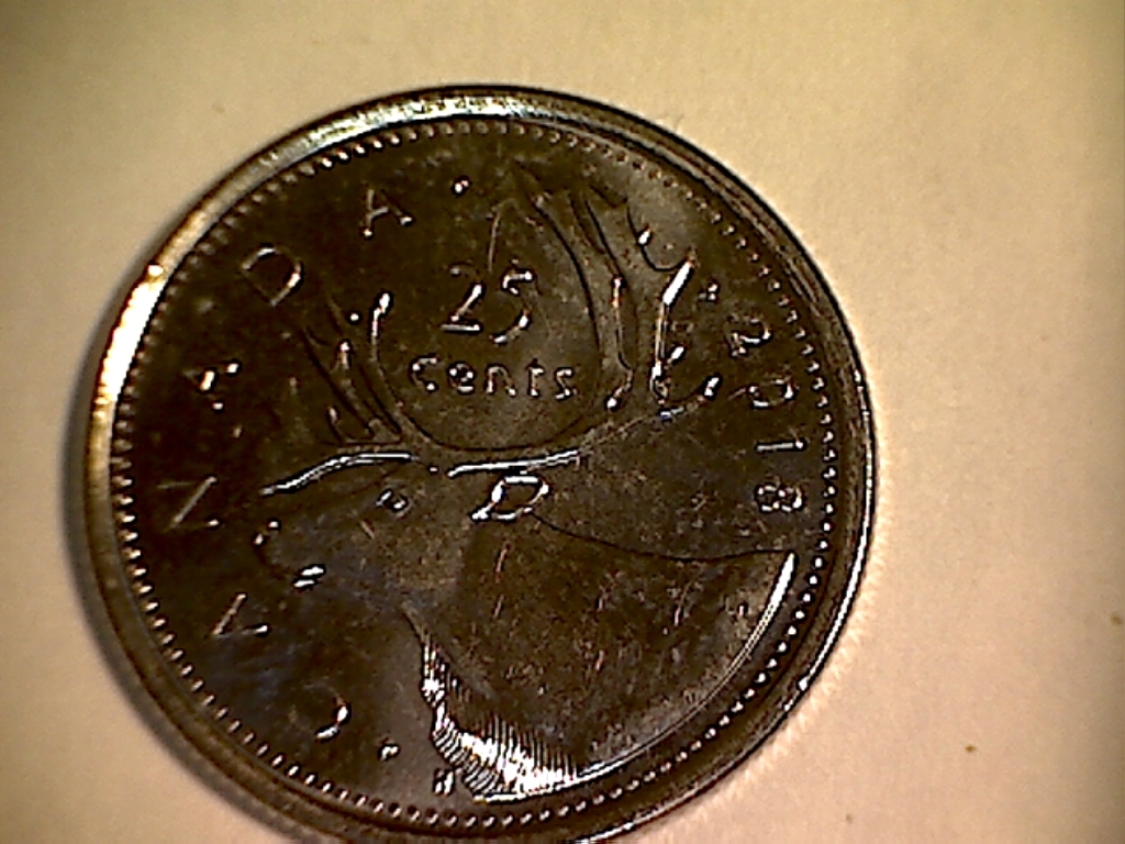 2018 Éclat sur menton B2519125A Revers.jpg