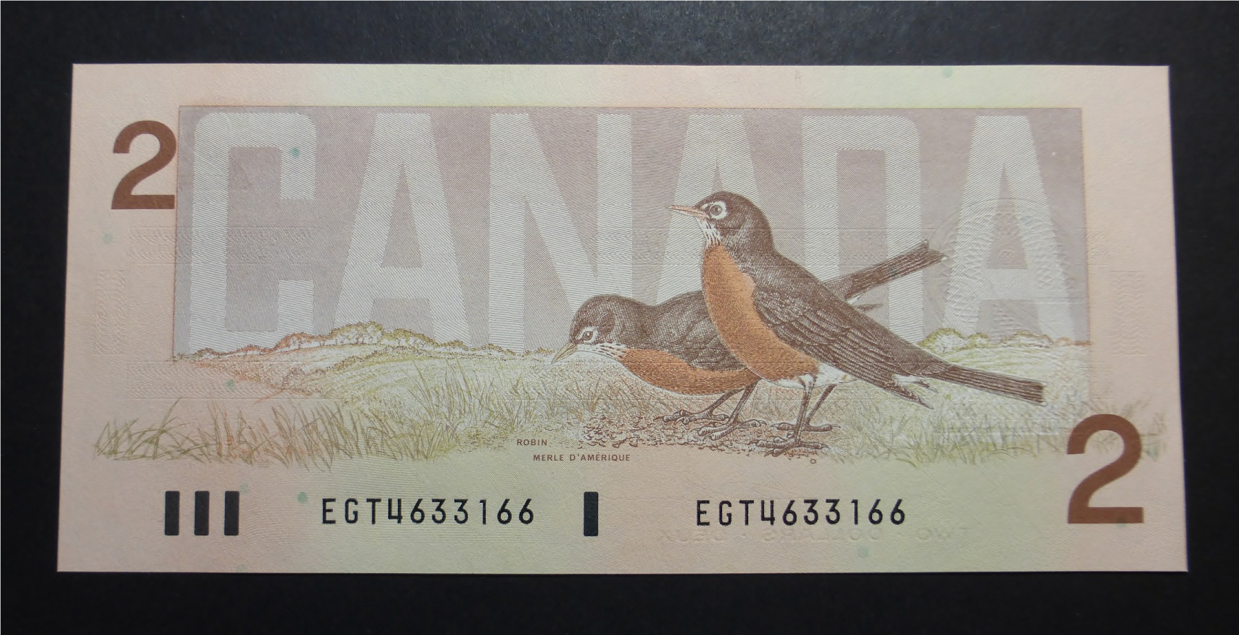 2 dollars 1986  EGT166 (4).jpg