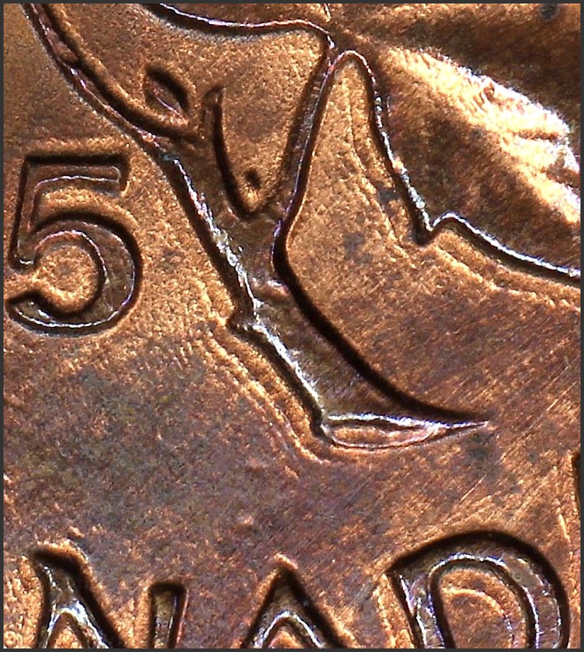 Web 1955 Close Rev.jpg