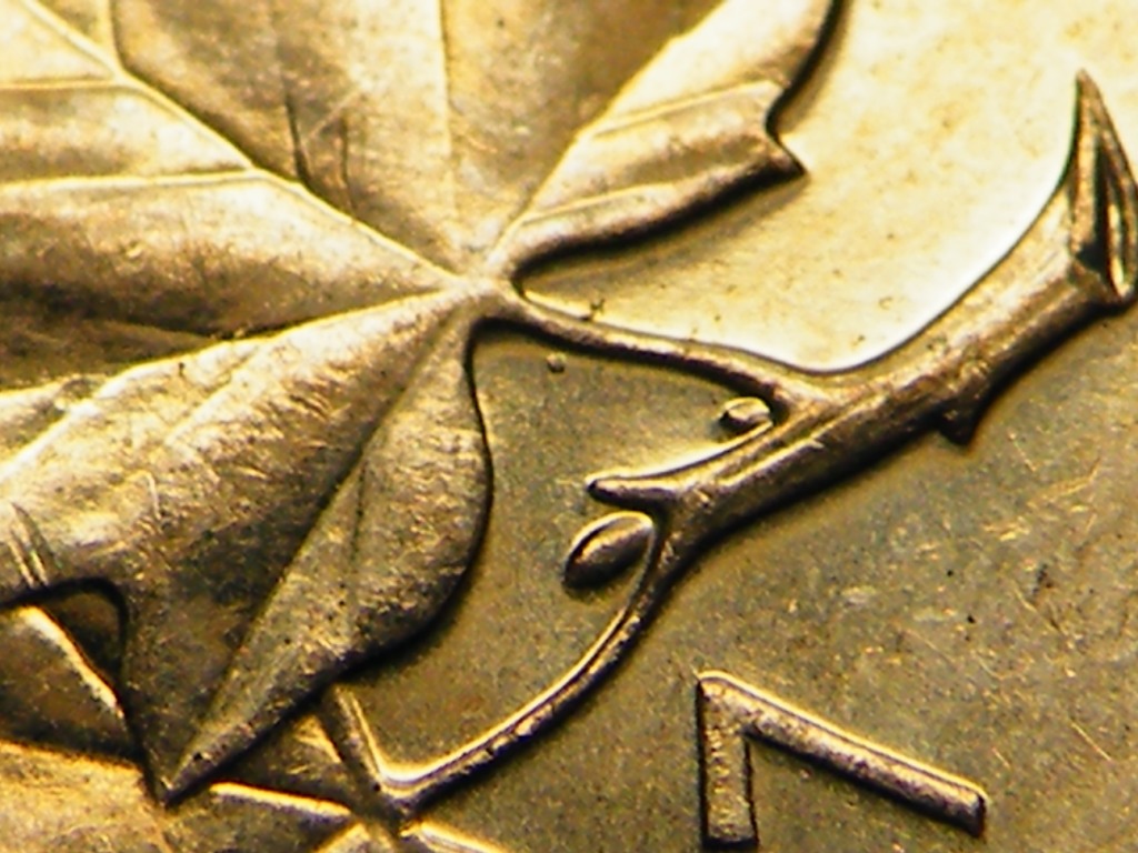 DSCF8842.JPG