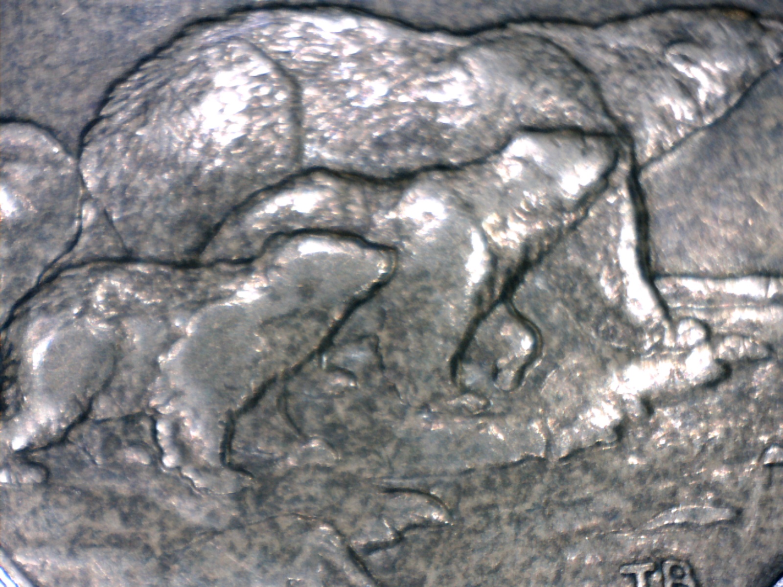 Image167.jpg