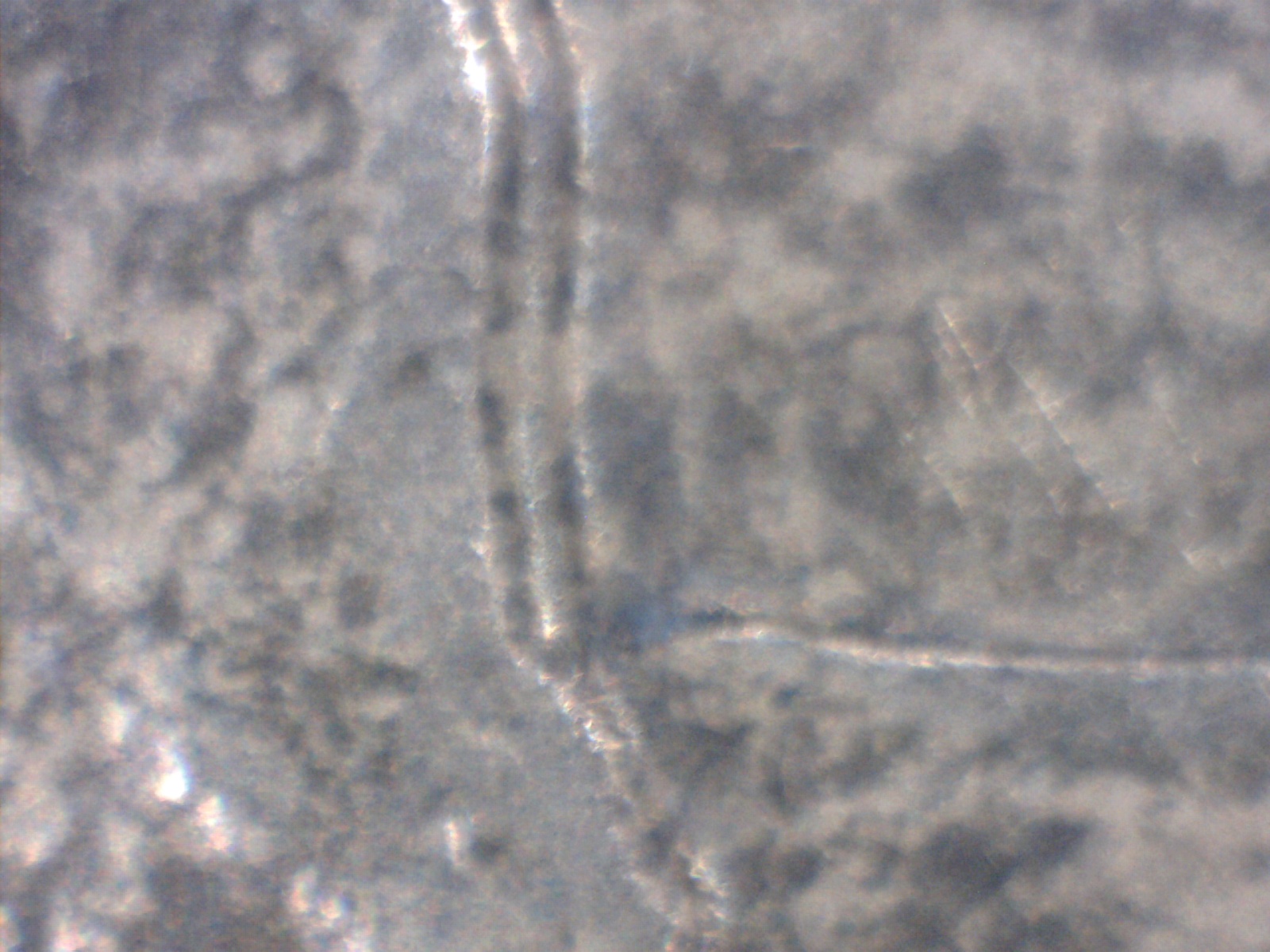 Image169.jpg