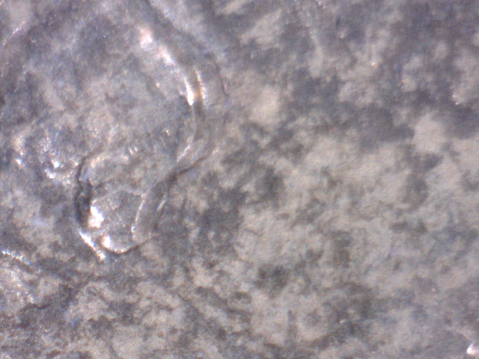 Image170.jpg