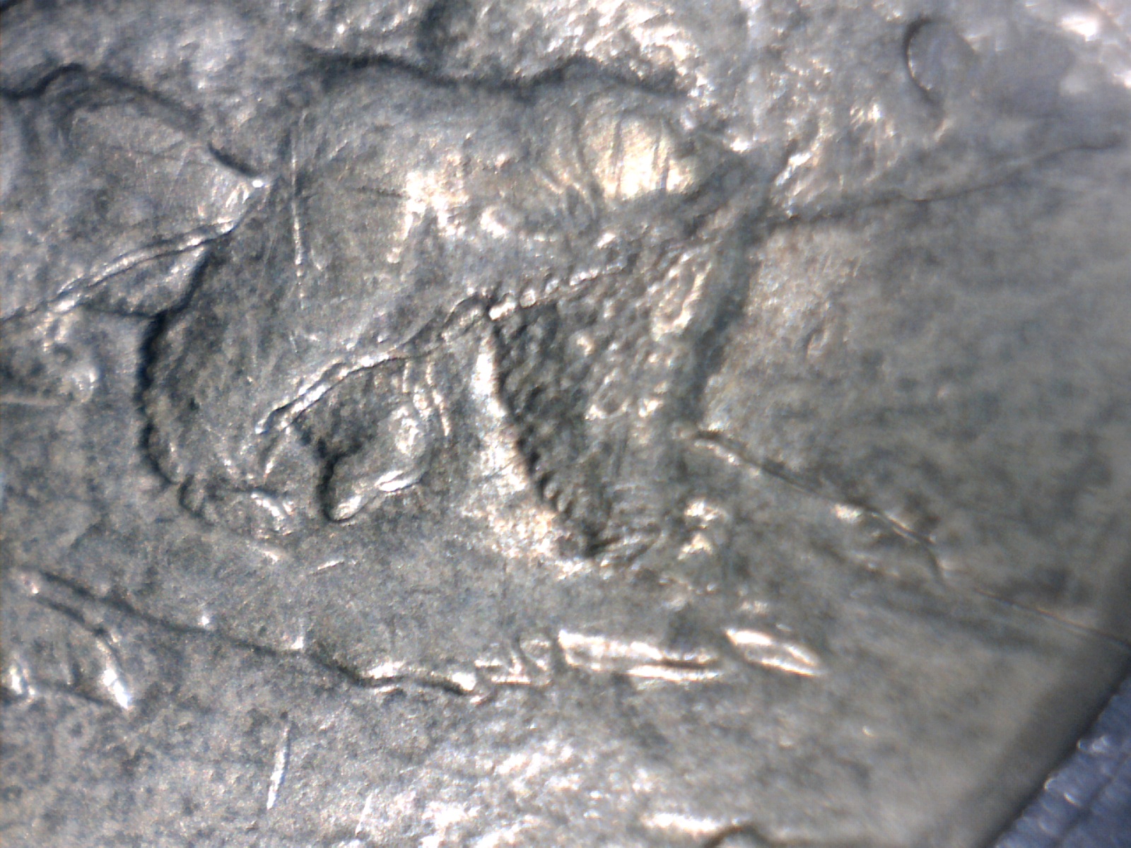Image174.jpg