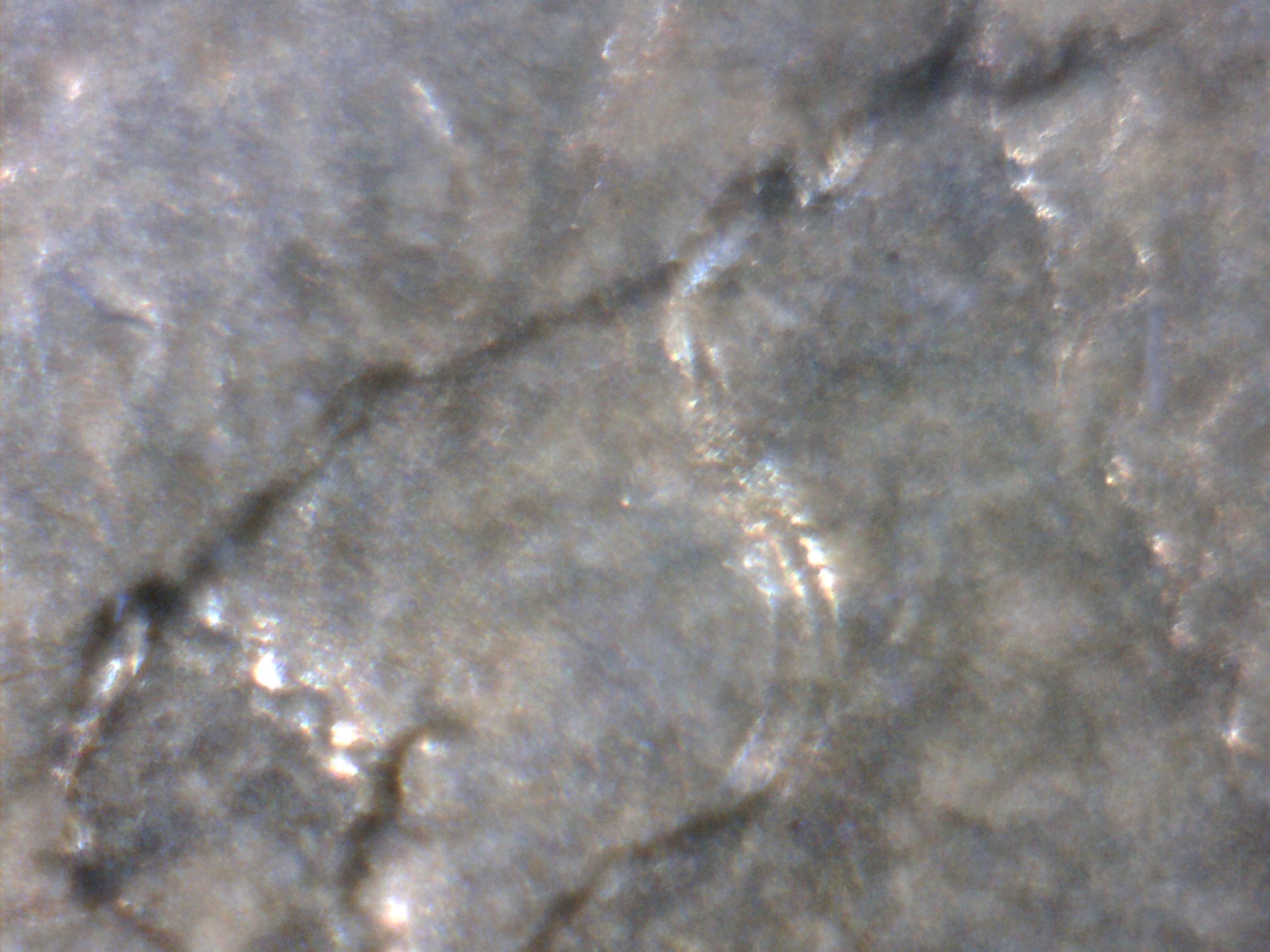 Image178.jpg