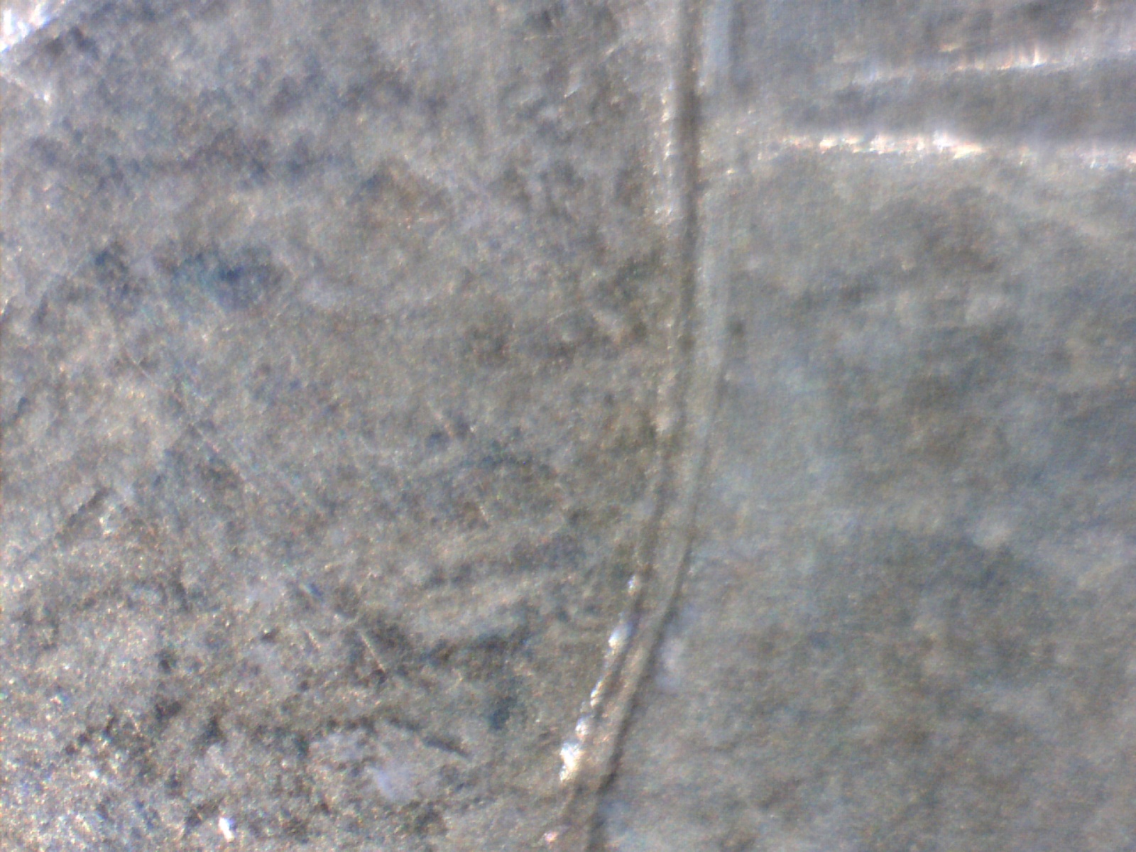 Image184.jpg