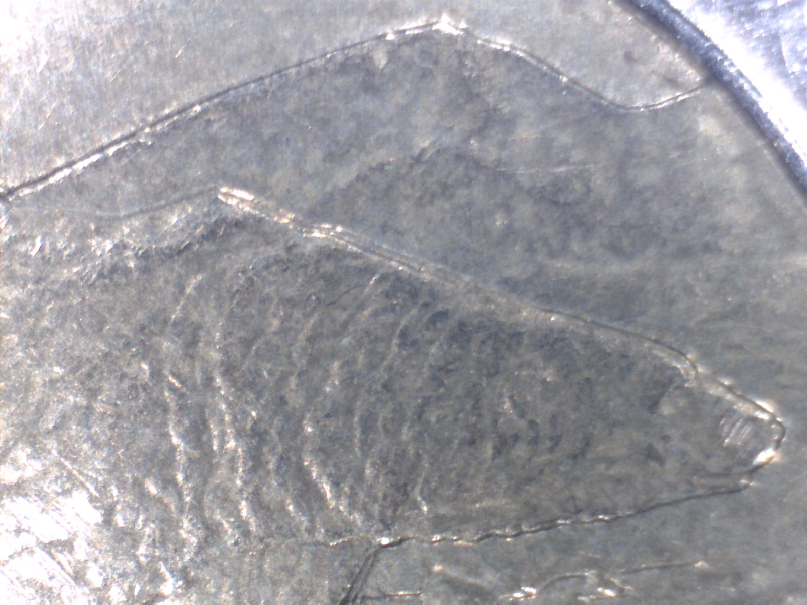 Image182.jpg