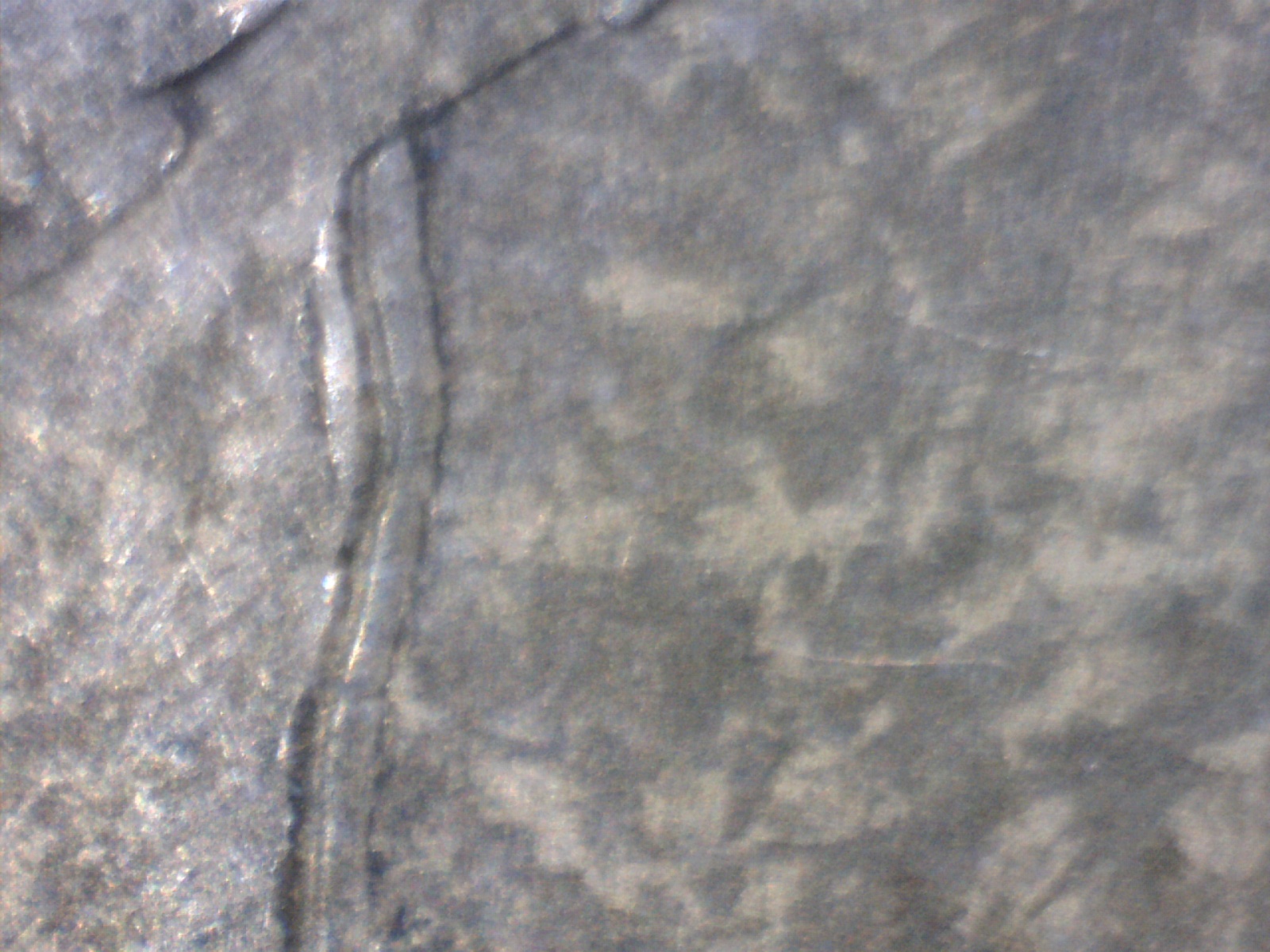 Image187.jpg