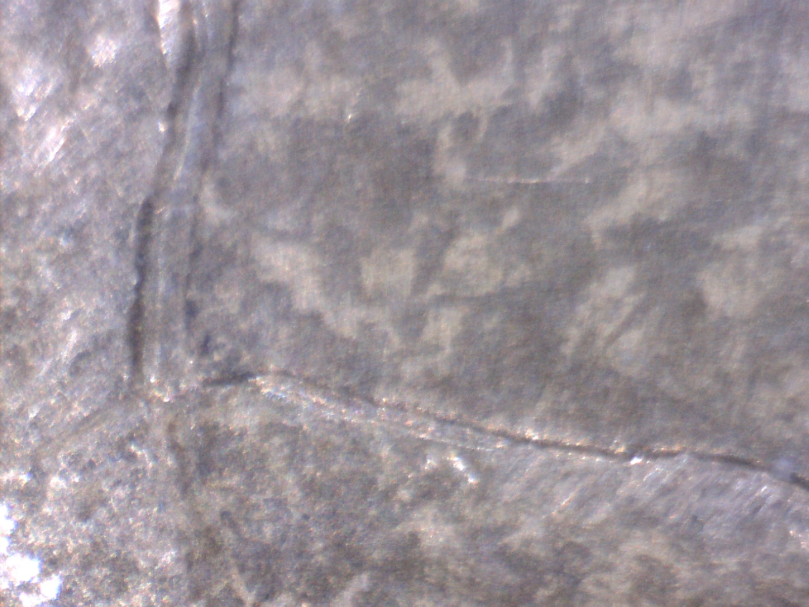 Image188.jpg