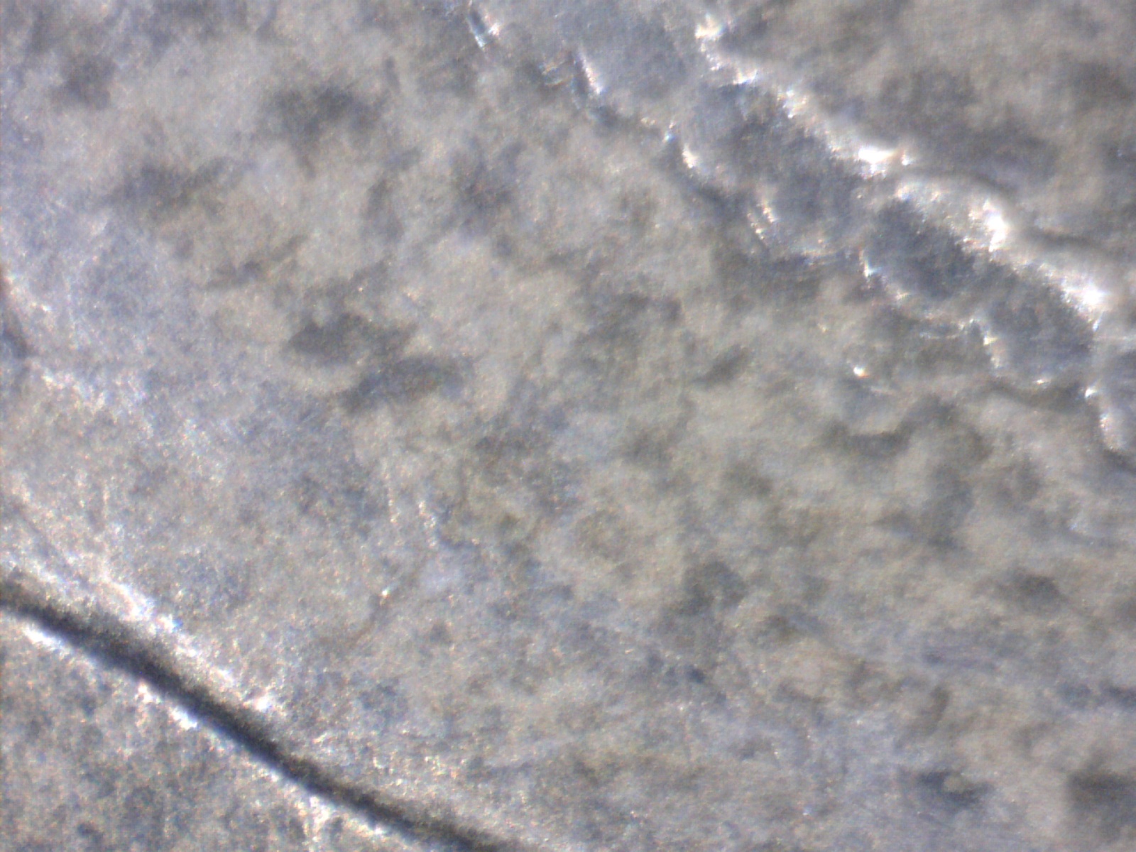 Image190.jpg