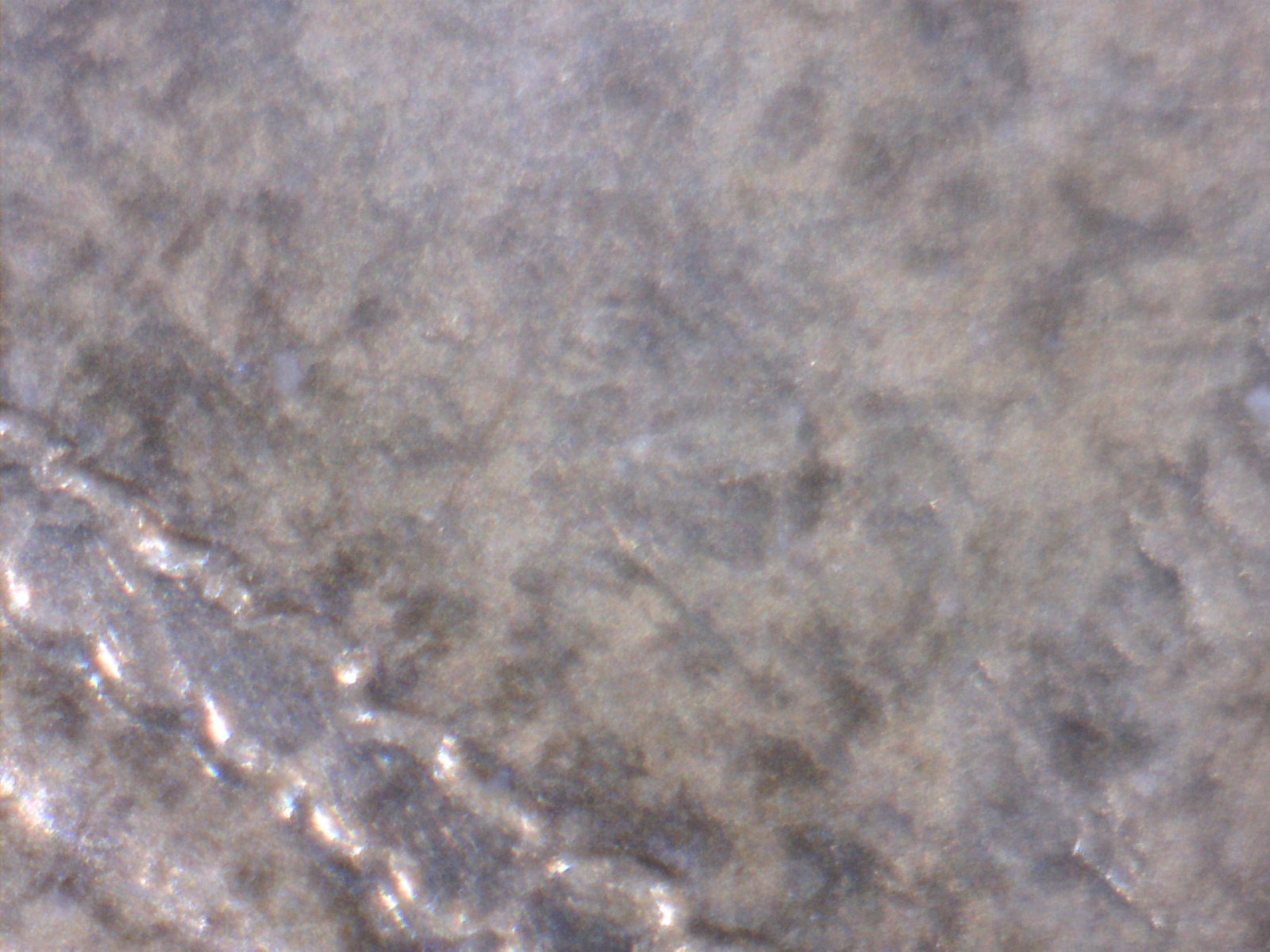 Image191.jpg
