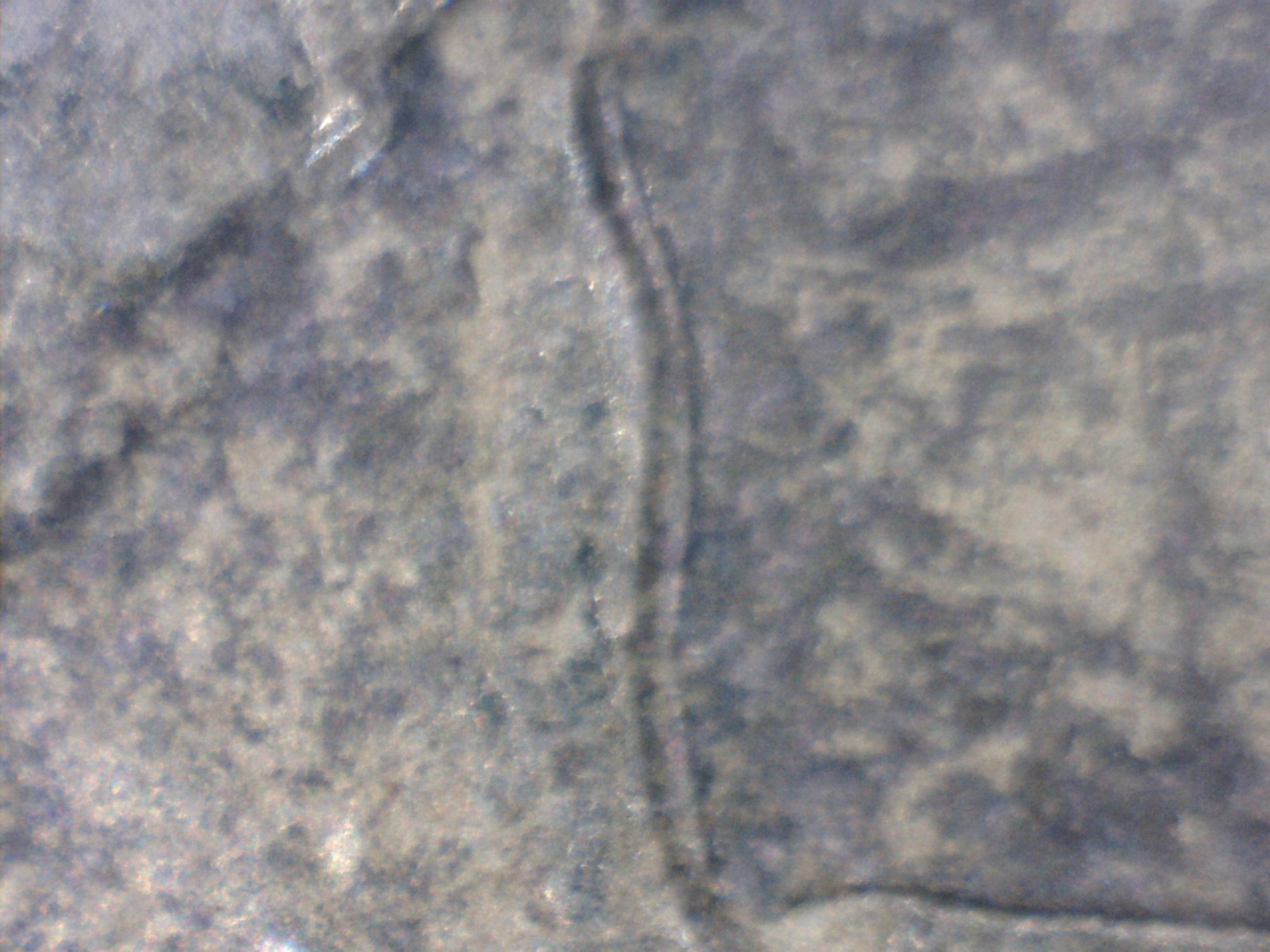 Image197.jpg