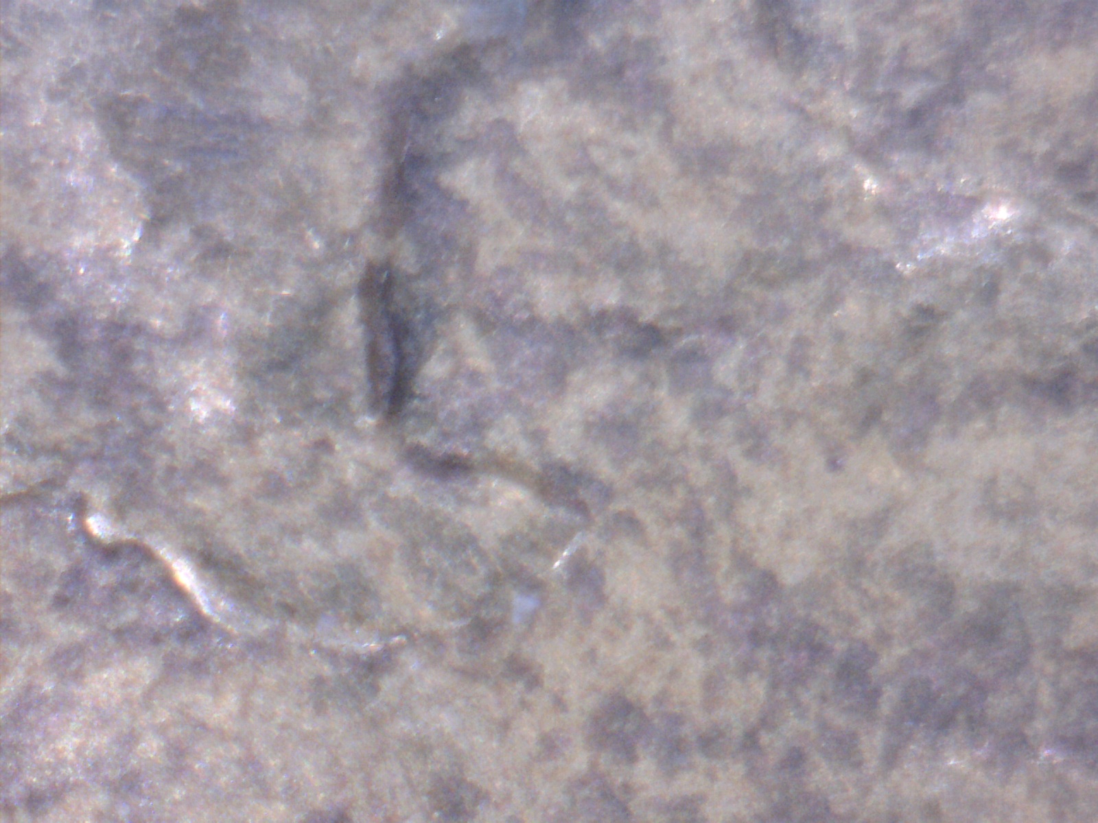Image199.jpg