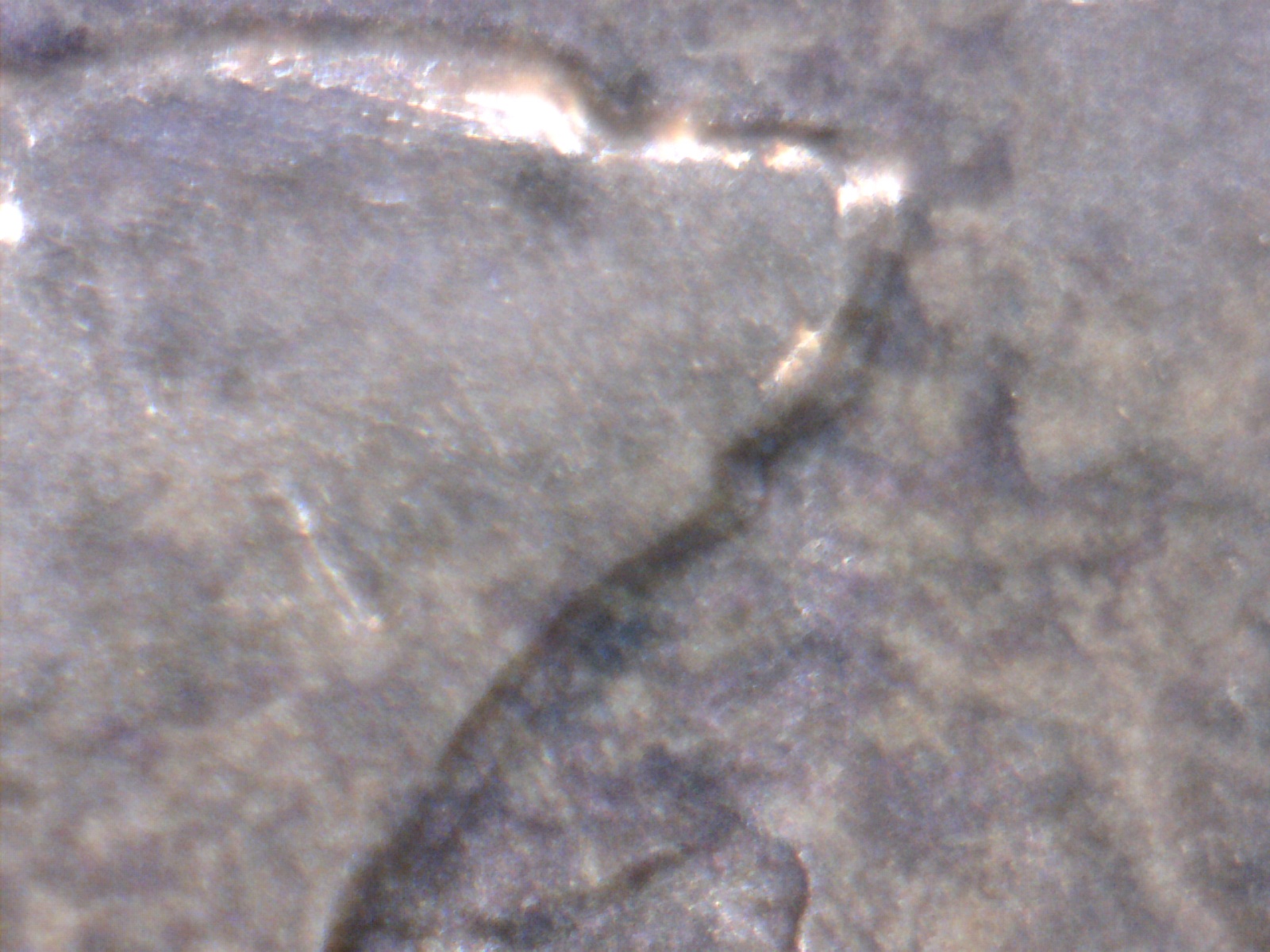 Image198.jpg