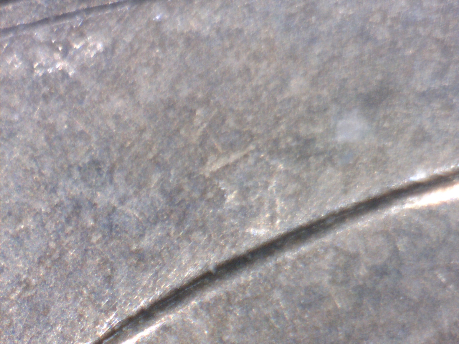 Image204.jpg