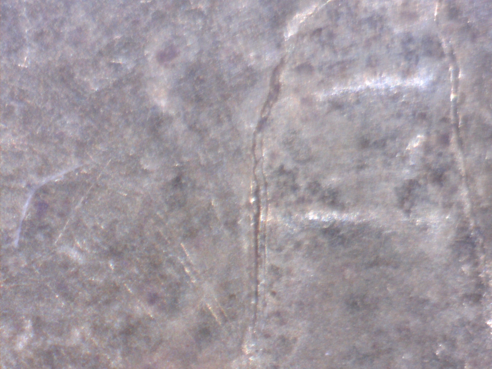 Image217.jpg