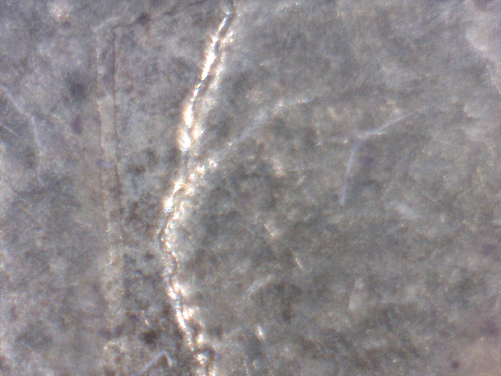 Image218.jpg