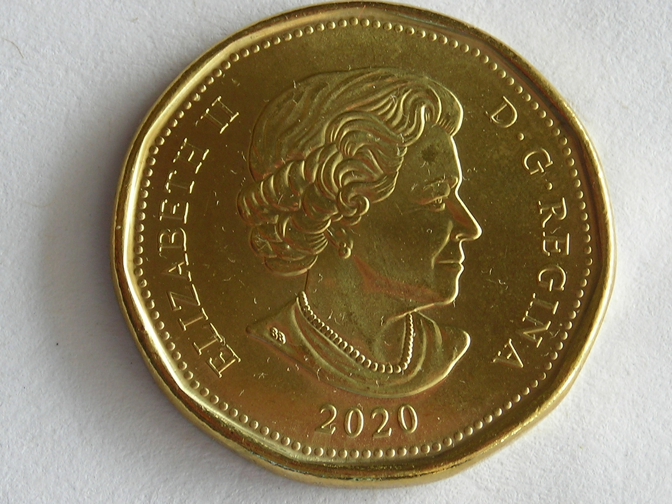 DSCN7060.JPG