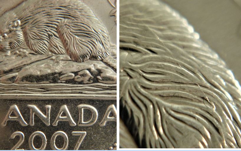 5 Cents 2007-Un fil sur le dos du castor-1.JPG