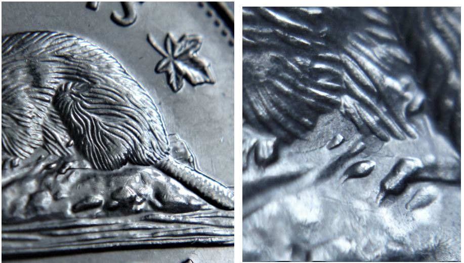 5 Cents 2006-Dommage du coin devant et derrière le castor-2.JPG