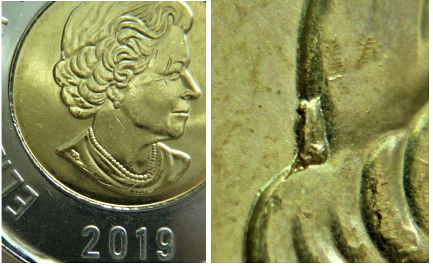 2 Dollar 2019-Éclat du coin dans cheveux-1.JPG