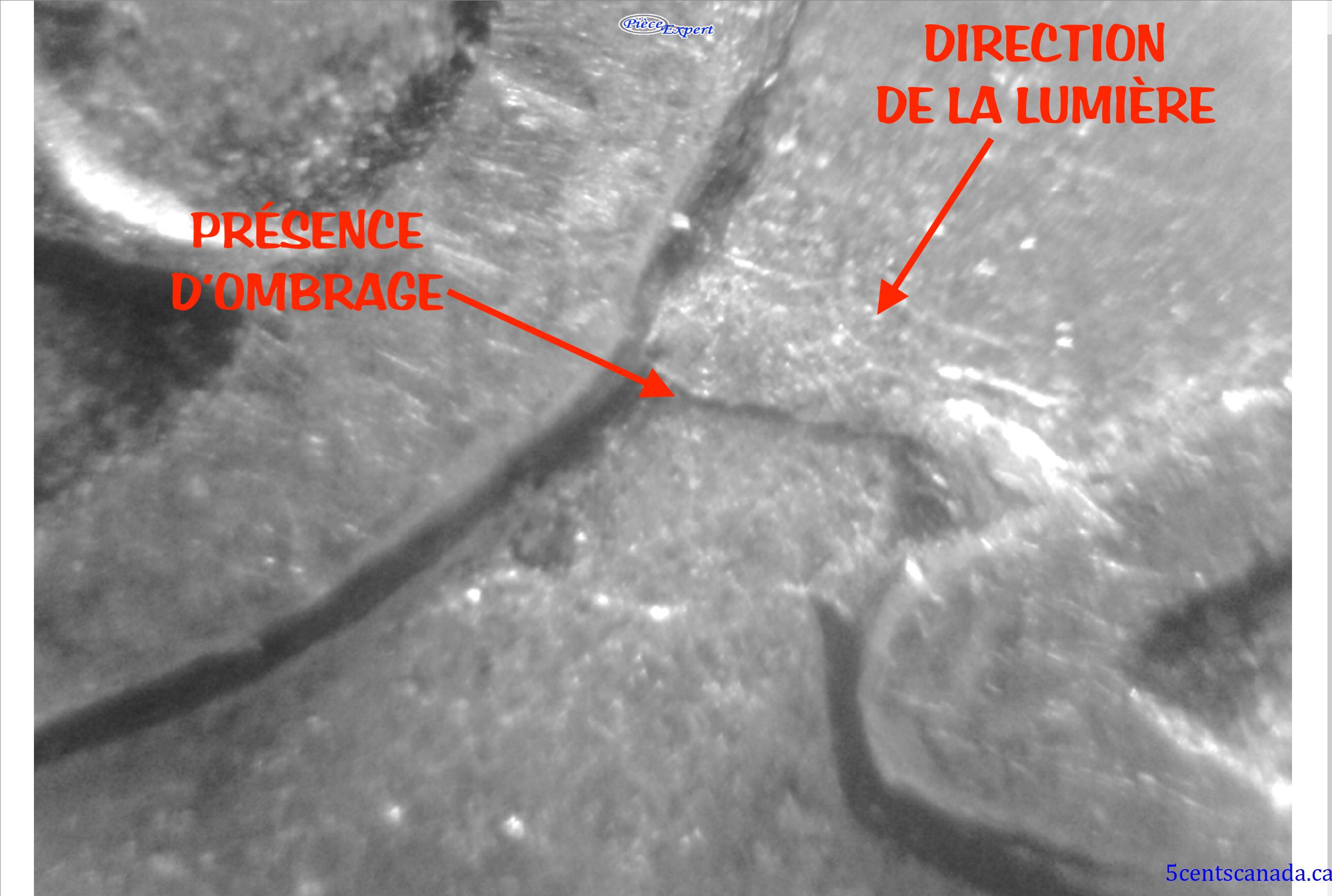 Image210230.jpg