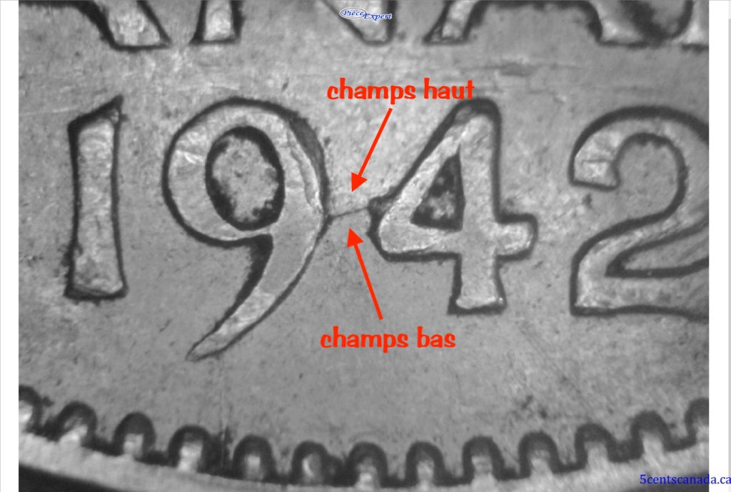 image225.jpg
