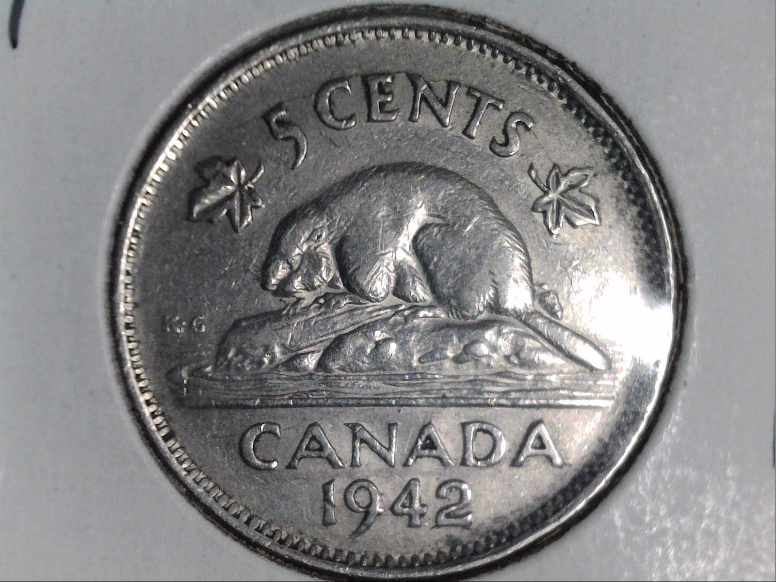 51942rev.jpg