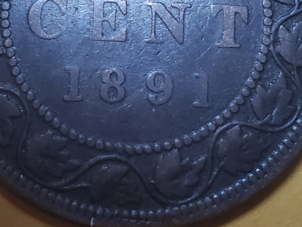 20201231_145229.jpg