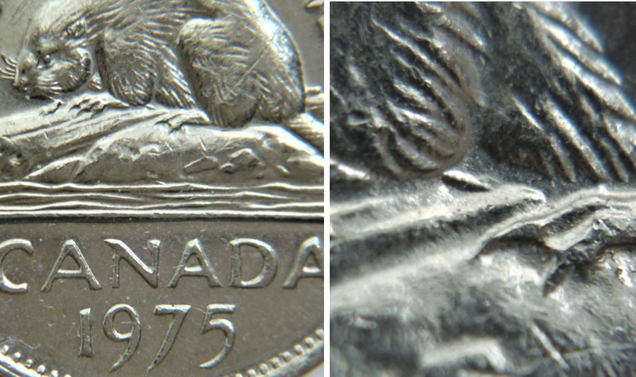 5 Cents 1975-Dommage du coin sous abdomen du castor-1.JPG
