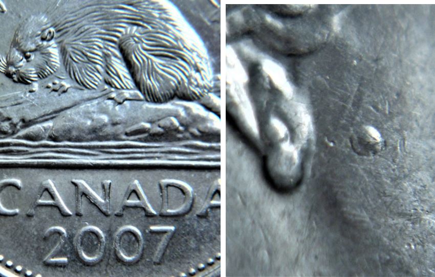 5 Cents 2007-Éclat du coin près de son oreil-1.JPG