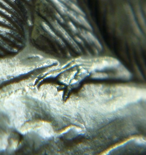 5 Cents 1965-Coin entrechoque au dessus de la tête du castor-4.JPG