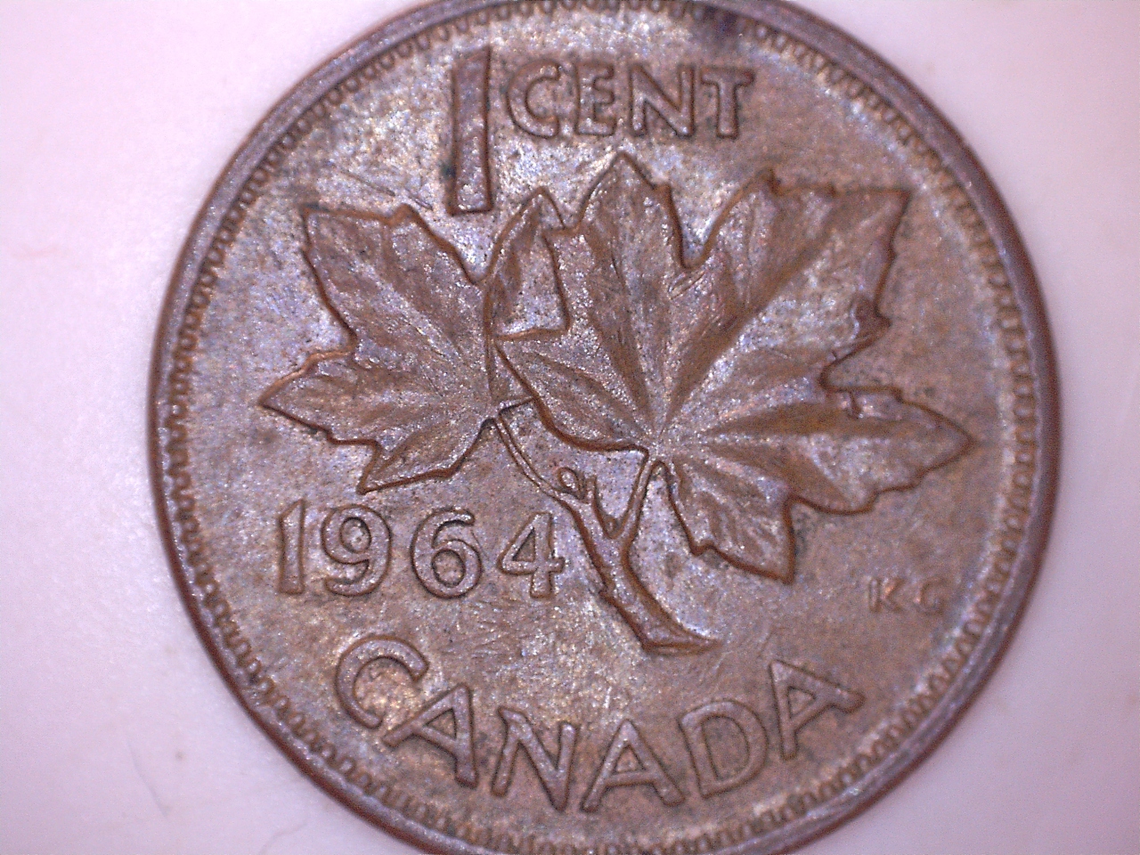 1964 épine 1.jpg