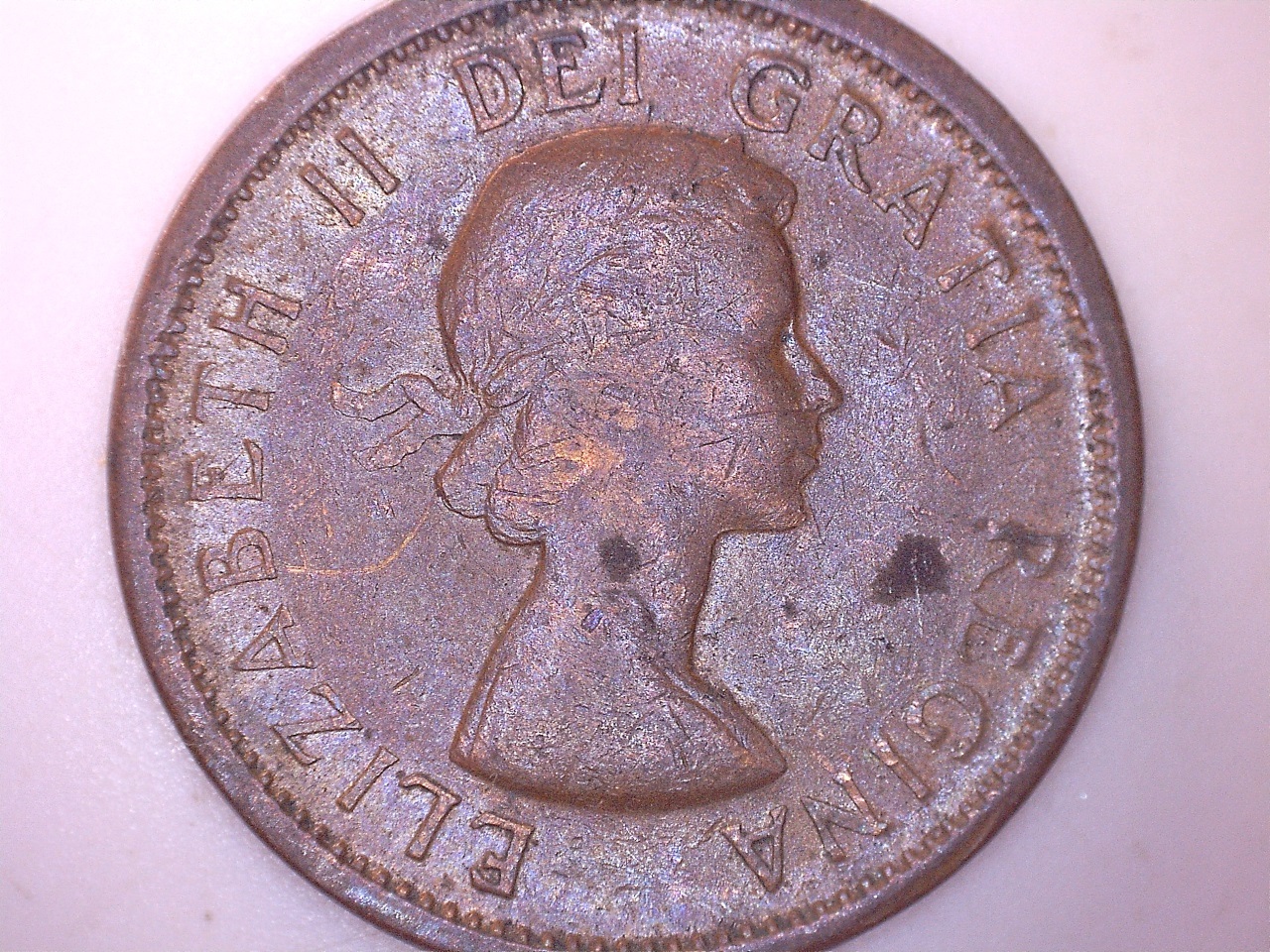 1964 épine 2.jpg