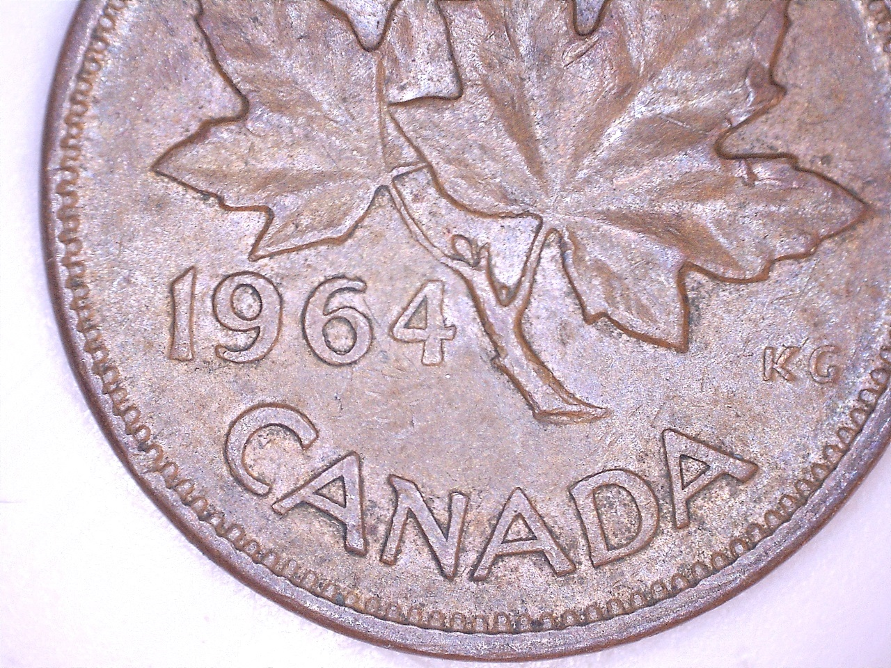 1964 épine 3.jpg